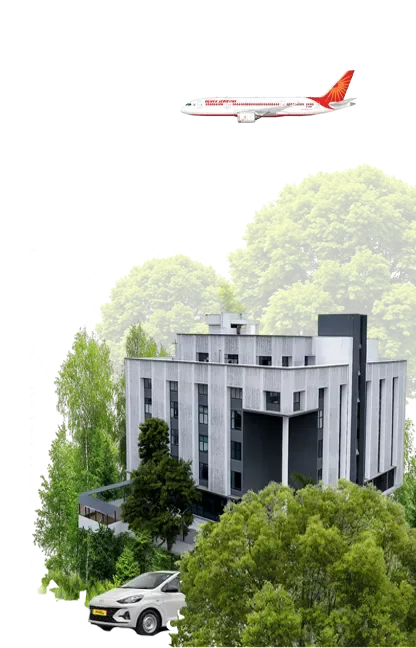 Global Division Illustration